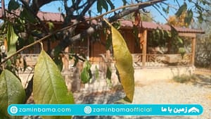 ویلای ۹۵۰ متری مناسب سرمایه‌گذاری در اسماعیل‌ آباد تهراندشت