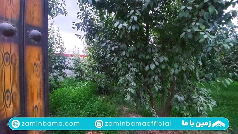 زمین ۴۶۰ متری شهرکی در تهراندشت